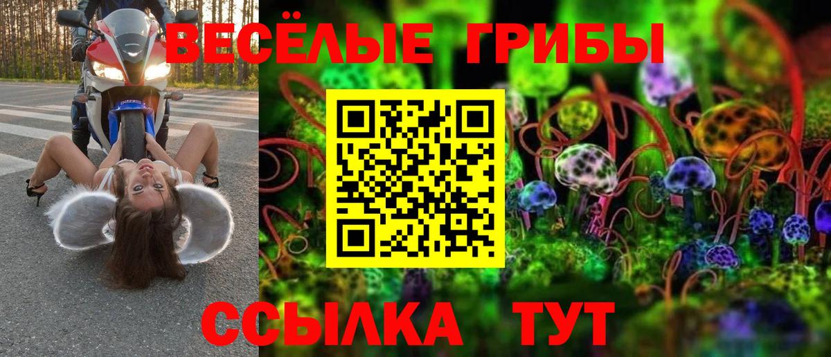 Псилоцибиновые грибы Cubensis  Вход с VPN  Коломна 