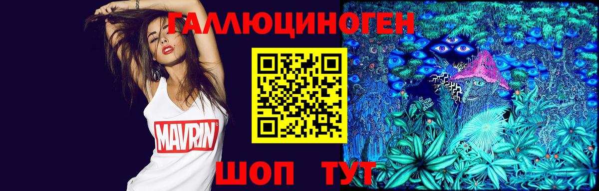 Галлюциногенные грибы Psilocybe Коломна